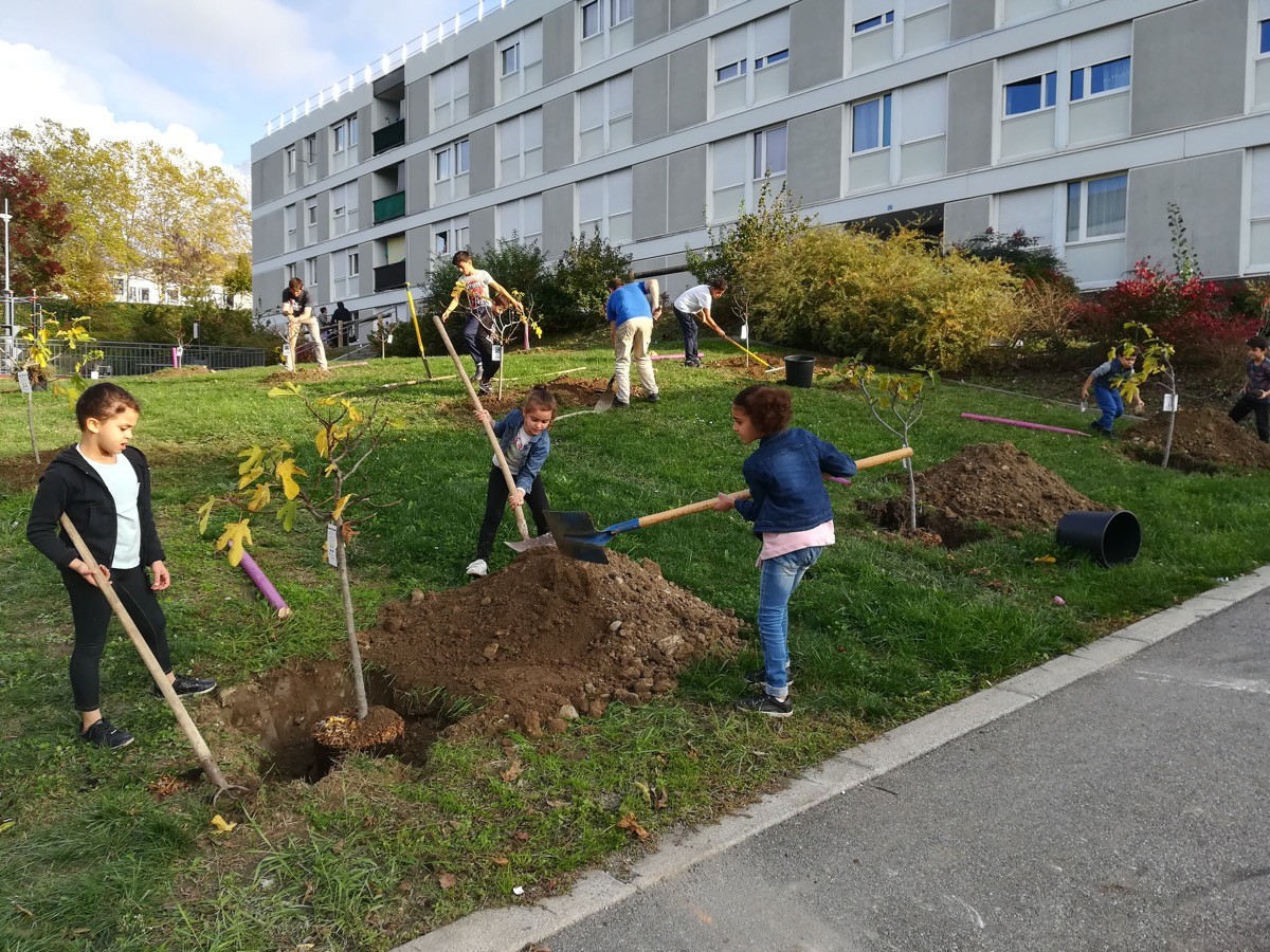 Jean-Alfredo.com - Jardin à partager - Jardinage collectif dans le grand ensemble de Chambéry le Haut