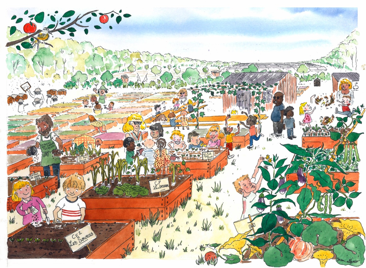 Jean-Alfredo.com - La ferme des carrés potagers - Commande d’illustration pour présenter le projet de ferme à Maison-Laffite(78)